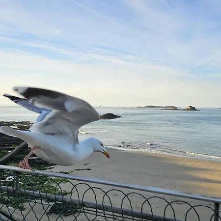 Vue Pleine Mer A La Perle Marine - La Terrasse Dinard Exterior photo